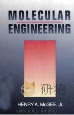Molecular Engineering   1991  PDF电子版封面  0070449775   