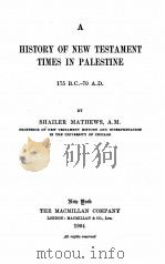 A HISTORY OF NEW TESTAMENT TIMES IN PALESTINE 1904 PDF电子版封面