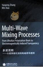 MULTI-WAVE MIXING PROCESSES（ PDF版）