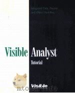 VISIBLE ANALYST PDF电子版封面