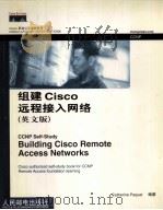 BUILDING CISCO REMOTE ACCESS NETWORKS PDF电子版封面 711511191X CATHERINE PAQUET