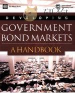 DEVELOPING GOVERRNMENT BOND MARKETS A HANDBOOK PDF电子版封面