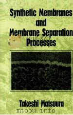 Synthetic Membranes and Membrane Separation Processes   1994  PDF电子版封面  0849342023   