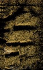 BEHIND THE JAPANESE MASK（ PDF版）