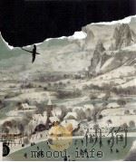 Pieter Bruegel the Elder at the Kunsthistorisches Museum in Vienna PDF电子版封面 888118320X