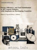 Energy Efficiency and Fuel Substitution in the Cement Industry with Emphasis on Developing Countries 1983 PDF电子版封面 0821302701