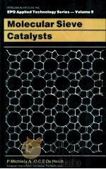 EPO Applied Technology Series-Volume 9 Molecular Sieve Catalysts 1987 PDF电子版封面 0080349218