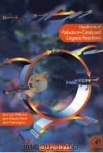Handbook of Palladium-Catalyzed Organic Reactions Synthetic Aspects and Catalytic Cycles 1997 PDF电子版封面 0124666159