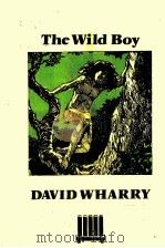 THE WILD BOY     PDF电子版封面  0340462221  EDWARD ARNOLD 