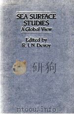 SEA SURFACE STUDIES 1987 PDF电子版封面