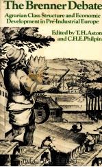 THE BRENNER DEBATE A GRARIAN CLASS STRUCTURE AND ECONOMIC DEVELOPMENT IN PRE INDUSTRIAL EUROPE 1987 PDF电子版封面 0521349338