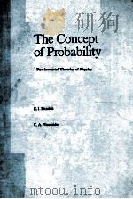 THE CONCEPT OF PROBABILITY 1989 PDF电子版封面 9027726795