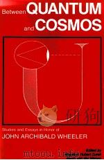 BETWEEN QUANTUM AND COSMOS 1988 PDF电子版封面 0691084904