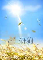 LIFE WISH 1987 PDF电子版封面 0316109266