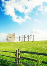 A FIRST-DRAFT VERSION OF FINNEGANS WAKE 1963 PDF电子版封面