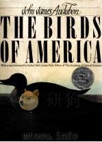 THE BIRDS OF AMERICA 1985 PDF电子版封面 0025044508
