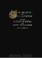 ENDOCRINE SYSTEM AND SELECTED METABOLIC DISEASES   1965  PDF电子版封面     