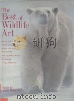 THE BEST OF WILDLIFE ART PDF电子版封面 0891347437 RACHEL RUBIN WOLF
