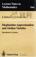 LECTURE NOTES IN MATHEMATICS 1566: DIOPHANTINE APPROXIMATION AND ABELIAN VARIETIES   1993  PDF电子版封面  3540575286;0387575286   
