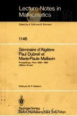 LECTURE NOTES IN MATHEMATICS 1146: SEMINAIRE D'ALGEBRE PAUL DUBREIL ET MARIE-PAULE MALLIAVIN 1985 PDF电子版封面 3540156860;0387156860