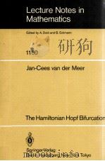 LECTURE NOTES IN MATHEMATICS 1160: THE HAMILTONIAN HOPF BIFURCATION（1985 PDF版）