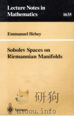 SOBOLEV SPACES ON RIEMANNIAN MANIFOLDS 1996 PDF电子版封面 9783540617228