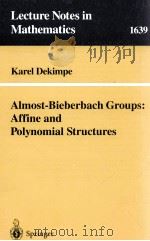 ALMOST-BIEBERBACH GROUPS: AFFINE AND POLYNOMIAL STRUCTURES 1996 PDF电子版封面 9783540618997