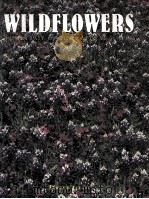 WILD FLOWERS A PORTRAIT OF THE NATURAL WORLD 1997 PDF电子版封面 1577170288