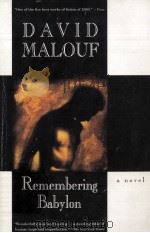 REMEMBERING BABYLON 1993 PDF电子版封面 0679427244