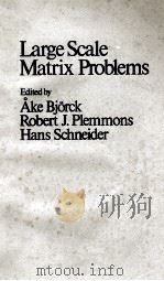 LARGE SCALE MATRIX PROBLEMS 1981 PDF电子版封面