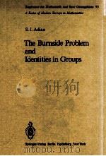 THE BURNSIDE PROBLEM AND IDENTITIES IN GROUPS 1970 PDF电子版封面 3540087281;0387087281