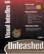 VISUAL INTERDEV TM 6 1999 PDF电子版封面 067231262X