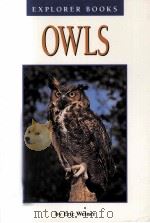 OWLS 1993 PDF电子版封面 0440830729