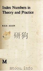 INDEX NUMBERS IN THEORY AND PRACTICE 1975 PDF电子版封面