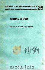 NETFLOW AT PISA   1986  PDF电子版封面  0444879854   
