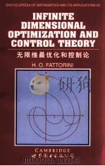 INFINITE DIMENSIONAL OPTIMIZATION AND CONTROL THEORY(无限维最优化和控制论)（1999 PDF版）