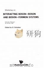 WORKSHOP ON INTERACTING BOSON-BOSON AND BOSON-FERMION SYSTEMS 1984 PDF电子版封面 9971966824