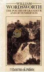 WILLIAM WORDSWORTH THE POETRY OF GRANDEUR AND OF TENDERNESS 1982 PDF电子版封面