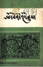 波密史 藏文 1988 PDF电子版封面 7223001151 波密县历史资料整理小组编