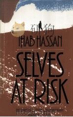 SELVES AT RISK Patterns of Quest in Contemporary American Letters 1990 PDF电子版封面 IHAB HASSAN