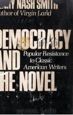 Democracy and the Novel POPULAR RESISTANCE TO CLASSIC AMERICAN WRITERS 1978 PDF电子版封面 0195023978