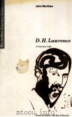 D.H.Lawrence A Literary Life 1989 PDF电子版封面 033343353X