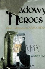 shadowy heroes Irish Literature of the 1890s 1980 PDF电子版封面 0815622317