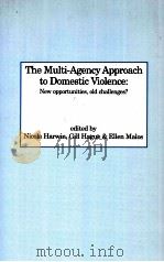 THE MULTI-AGENCY APPROACH TO DOMESTIC VIOLENCE:NEW OPPORTUNITIES OLD CHALLENGES? PDF电子版封面 9781861770035