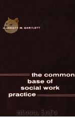 THE COMMON BASE OF SOCIAL WORK PRACTICE PDF电子版封面 9780871010544