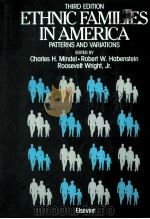 ETHNIC FAMILIES IN AMERICA PATTERNS AND VARIATIONS THIRD EDITION 1988 PDF电子版封面 0444013199