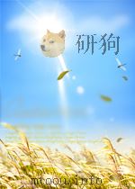 宝性论详解(藏文)（ PDF版）