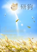 藏医千万舍利(藏文) PDF电子版封面