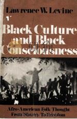 BLACK CULTURE AND BLACK CONSCIOUSNESS AFRO-AMERICAN FOLK THOUGHT FROM SLAVERY TO FREEDOM   1977  PDF电子版封面  0195023749   