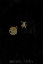 金子光晴全集 13 評論 Ⅳ   1975-1976  PDF电子版封面    金子光晴 
